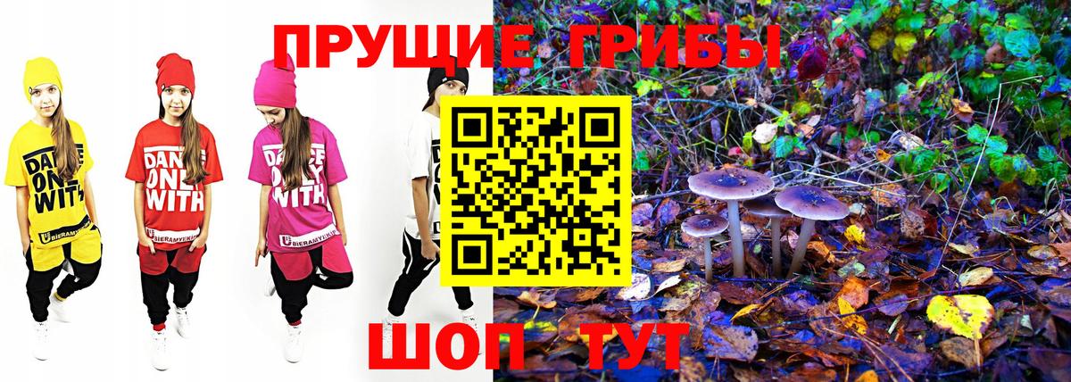 Псилоцибиновые грибы Psilocybine cubensis Нефтекамск